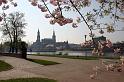 2007-04-12, Japanisches Palais (1)